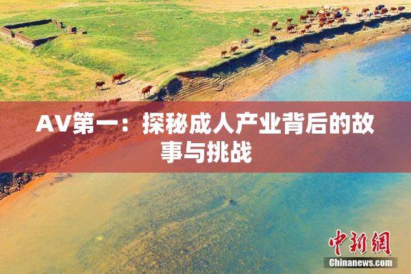 AV第一：探秘成人产业背后的故事与挑战