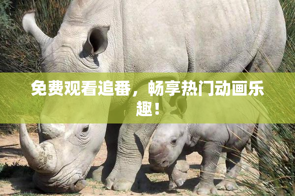 免费观看追番，畅享热门动画乐趣！