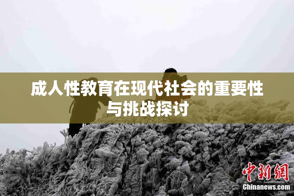 成人性教育在现代社会的重要性与挑战探讨