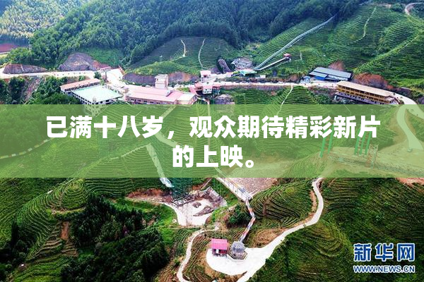 已满十八岁，观众期待精彩新片的上映。