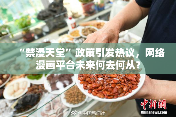 “禁漫天堂”政策引发热议，网络漫画平台未来何去何从？