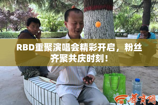 RBD重聚演唱会精彩开启，粉丝齐聚共庆时刻！