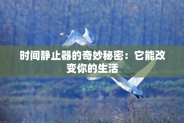 时间静止器的奇妙秘密：它能改变你的生活