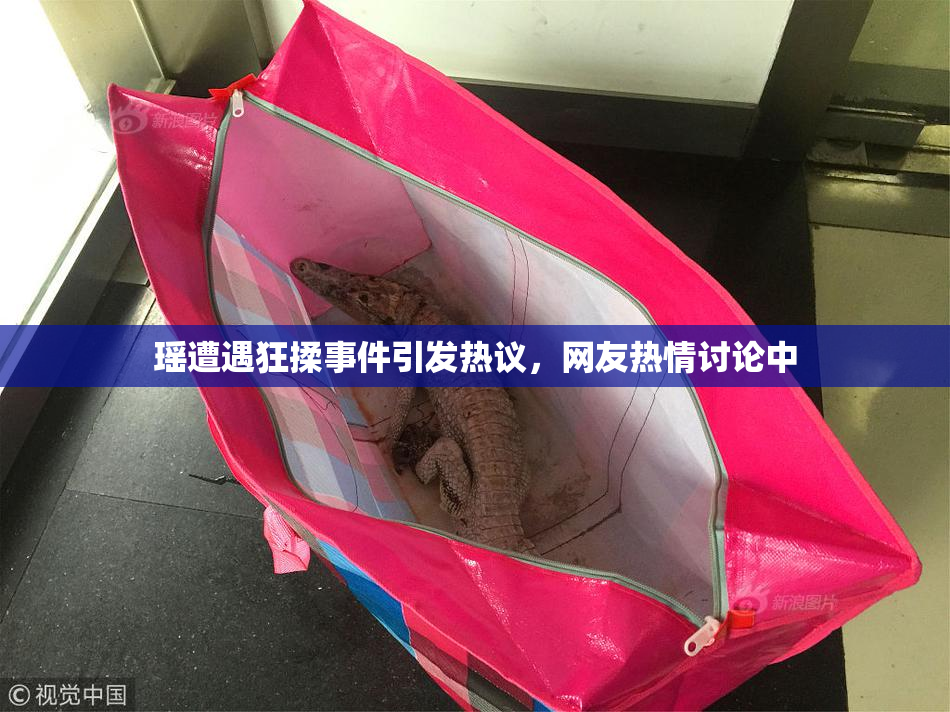 瑶遭遇狂揉事件引发热议，网友热情讨论中