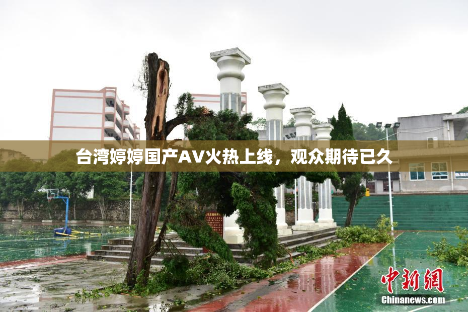 台湾婷婷国产AV火热上线，观众期待已久