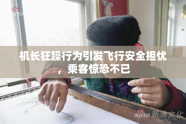 机长狂躁行为引发飞行安全担忧，乘客惊恐不已