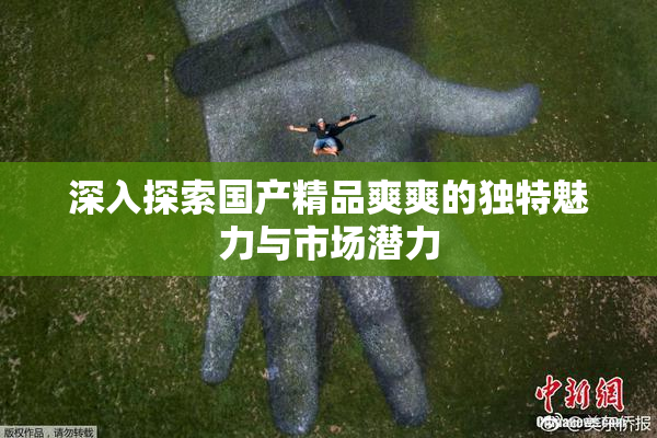 深入探索国产精品爽爽的独特魅力与市场潜力