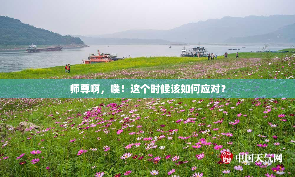 师尊啊，噗！这个时候该如何应对？
