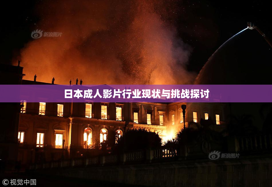日本成人影片行业现状与挑战探讨