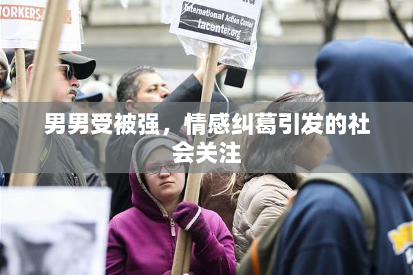 男男受被强，情感纠葛引发的社会关注