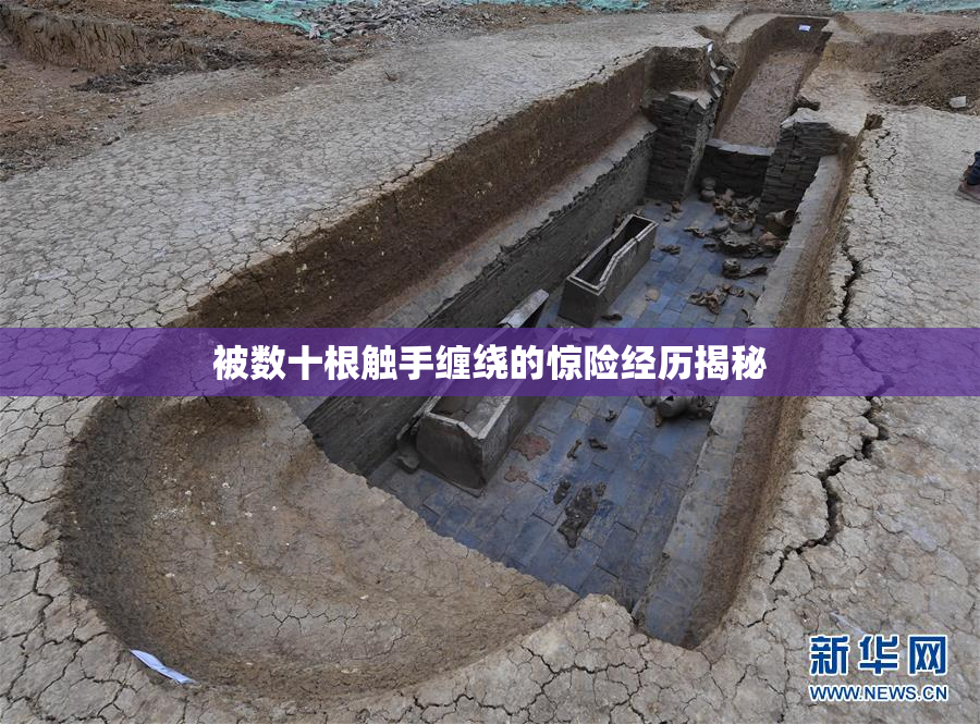 被数十根触手缠绕的惊险经历揭秘