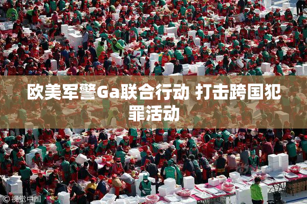 欧美军警Ga联合行动 打击跨国犯罪活动