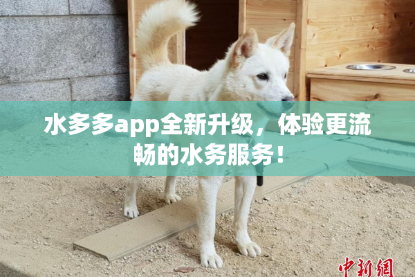 水多多app全新升级，体验更流畅的水务服务！