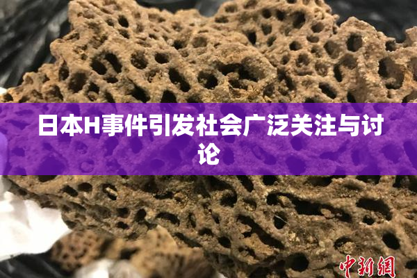 日本H事件引发社会广泛关注与讨论