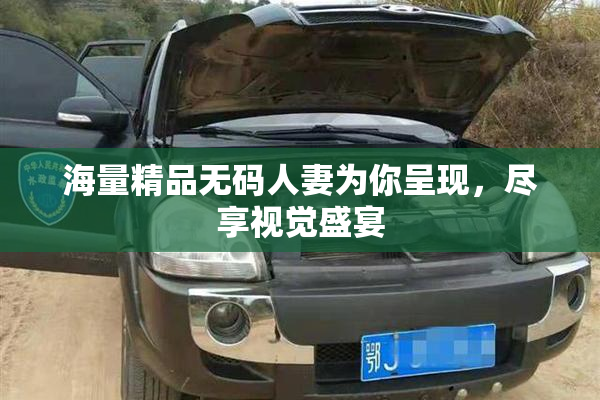 海量精品无码人妻为你呈现，尽享视觉盛宴