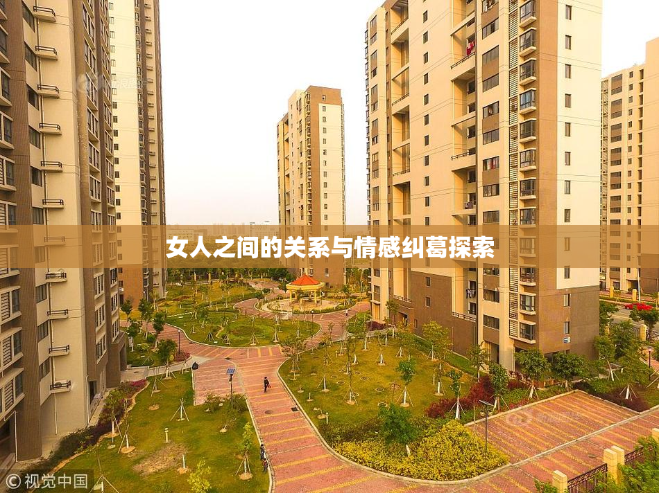 女人之间的关系与情感纠葛探索