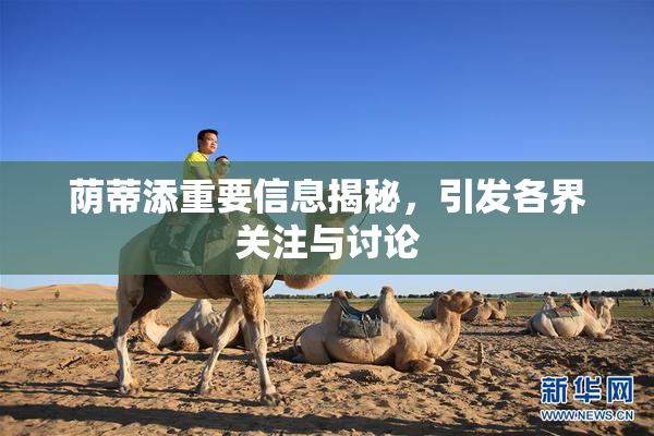 荫蒂添重要信息揭秘，引发各界关注与讨论
