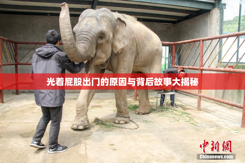 光着屁股出门的原因与背后故事大揭秘