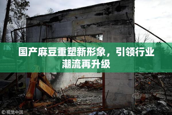 国产麻豆重塑新形象，引领行业潮流再升级