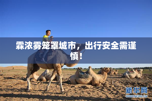 霖浓雾笼罩城市，出行安全需谨慎！
