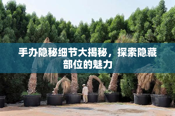 手办隐秘细节大揭秘，探索隐藏部位的魅力