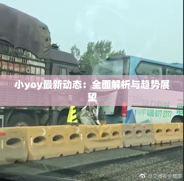 小yoy最新动态：全面解析与趋势展望