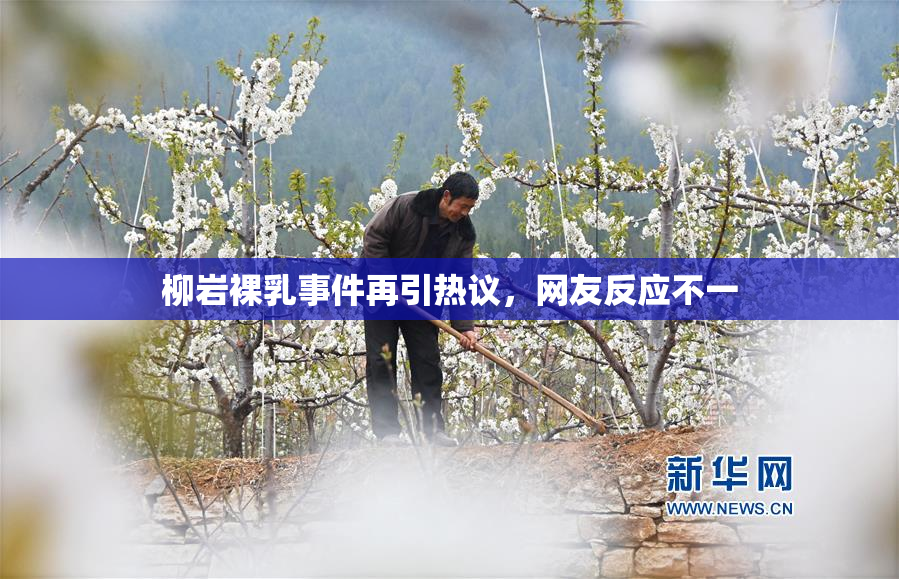 柳岩裸乳事件再引热议，网友反应不一