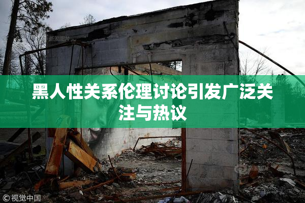 黑人性关系伦理讨论引发广泛关注与热议