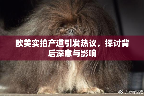 欧美实拍产道引发热议，探讨背后深意与影响