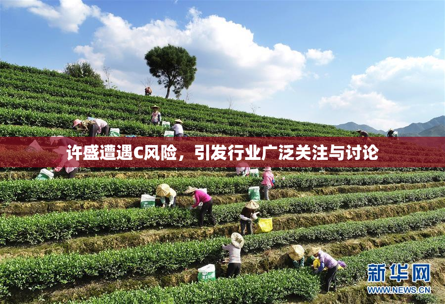 许盛遭遇C风险，引发行业广泛关注与讨论