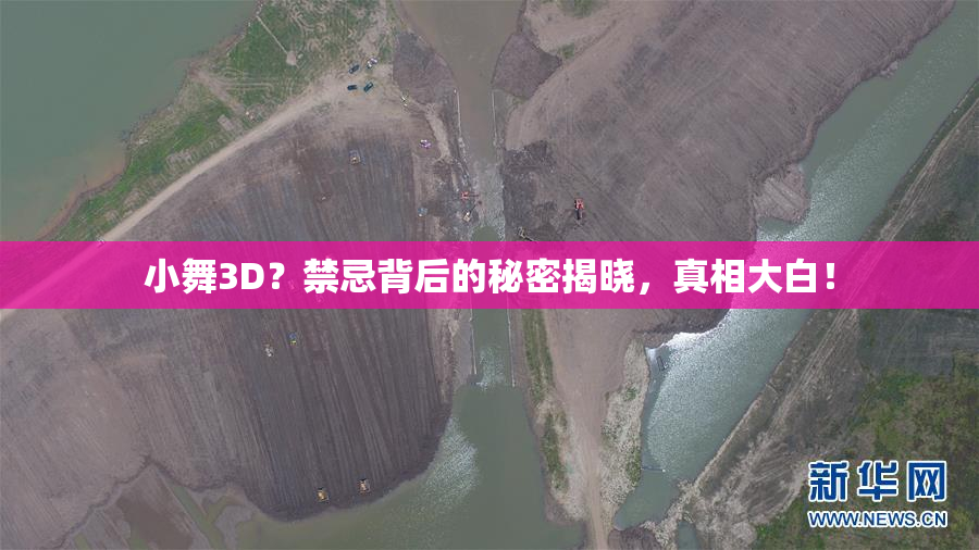 小舞3D？禁忌背后的秘密揭晓，真相大白！
