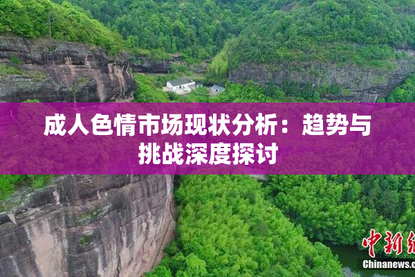 成人色情市场现状分析：趋势与挑战深度探讨