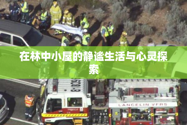 在林中小屋的静谧生活与心灵探索