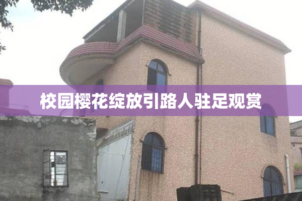 校园樱花绽放引路人驻足观赏