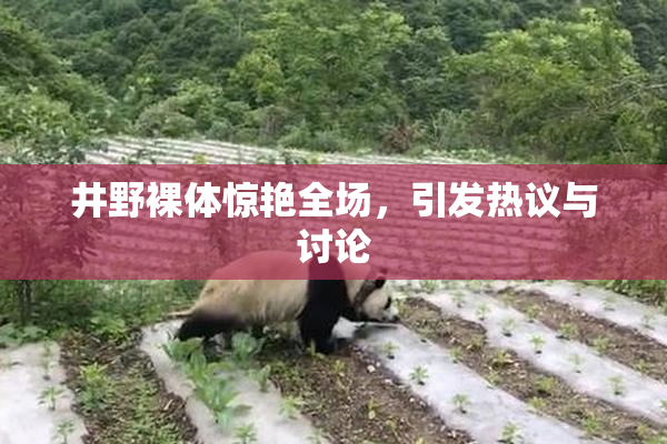 井野裸体惊艳全场，引发热议与讨论