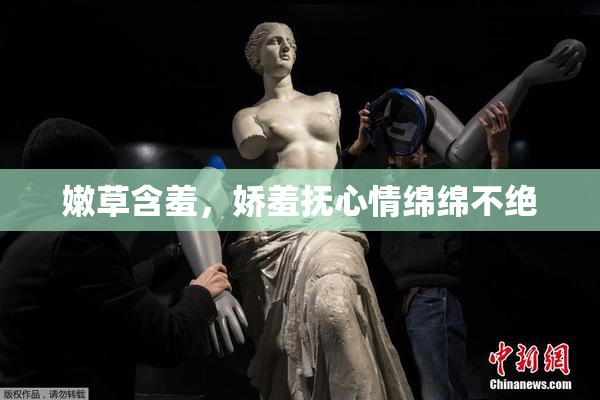 嫩草含羞，娇羞抚心情绵绵不绝