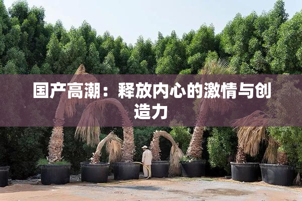 国产高潮：释放内心的激情与创造力