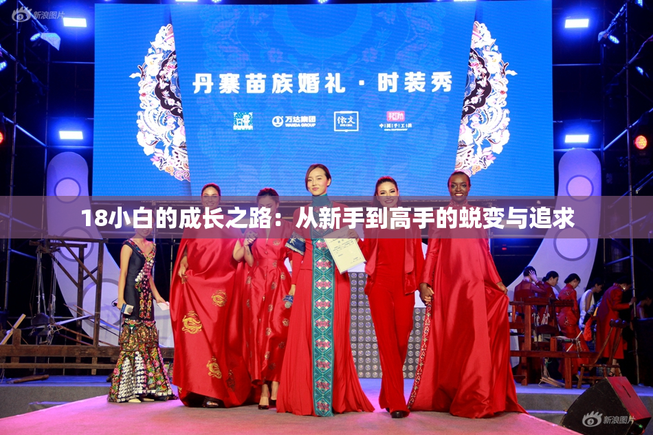 18小白的成长之路：从新手到高手的蜕变与追求