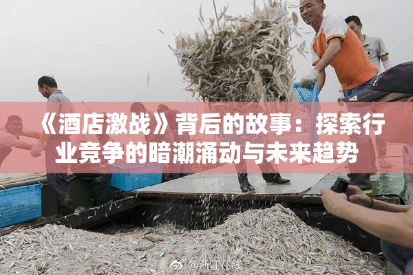《酒店激战》背后的故事：探索行业竞争的暗潮涌动与未来趋势