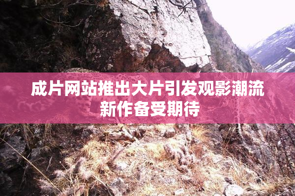 成片网站推出大片引发观影潮流 新作备受期待