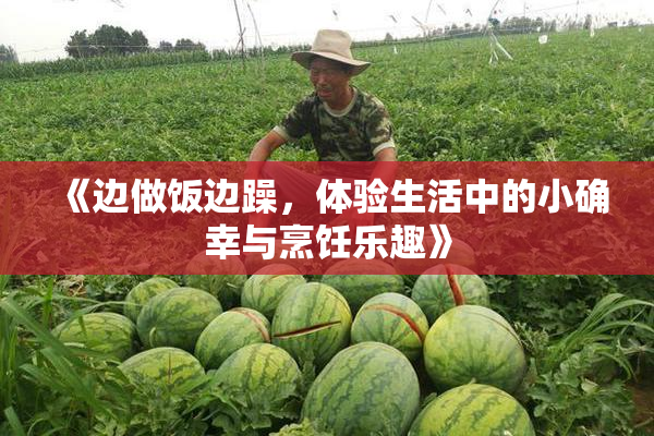《边做饭边躁，体验生活中的小确幸与烹饪乐趣》