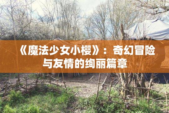 《魔法少女小樱》：奇幻冒险与友情的绚丽篇章