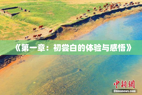 《第一章：初尝白的体验与感悟》