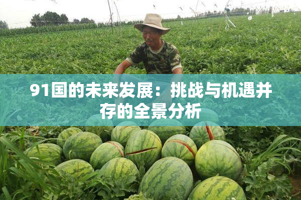 91国的未来发展：挑战与机遇并存的全景分析