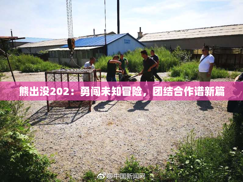 熊出没202：勇闯未知冒险，团结合作谱新篇