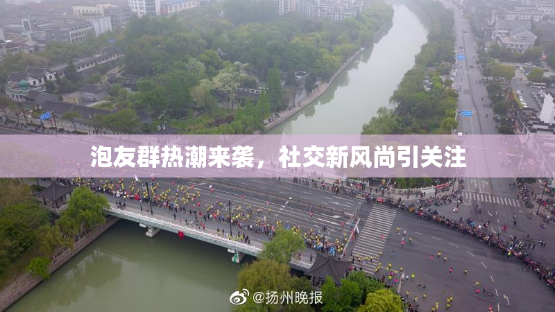 泡友群热潮来袭，社交新风尚引关注