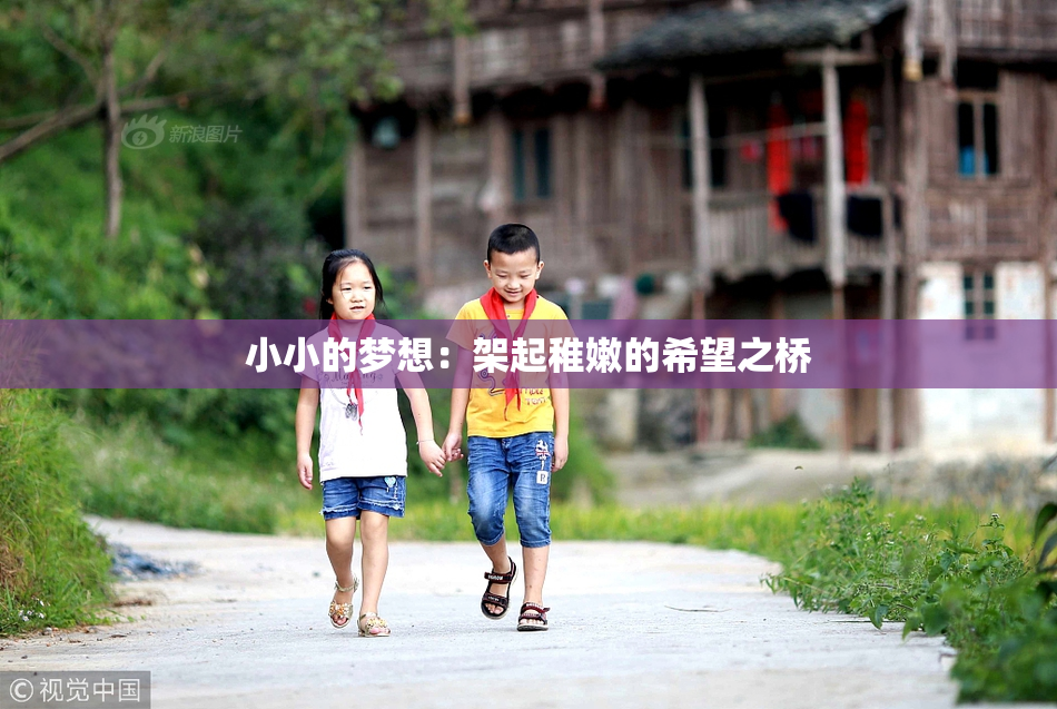 小小的梦想：架起稚嫩的希望之桥