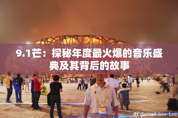 9.1芒：探秘年度最火爆的音乐盛典及其背后的故事
