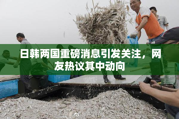 日韩两国重磅消息引发关注，网友热议其中动向