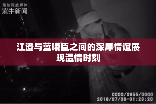 江澄与蓝曦臣之间的深厚情谊展现温情时刻